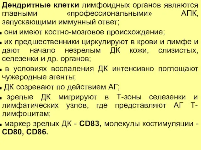 Дендритные клетки лимфоидных органов являются главными «профессиональными» АПК, запускающими иммунный