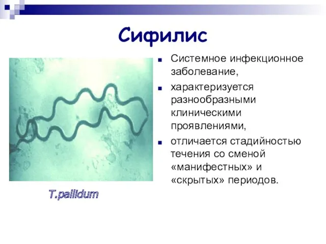 Сифилис Системное инфекционное заболевание, характеризуется разнообразными клиническими проявлениями, отличается стадийностью