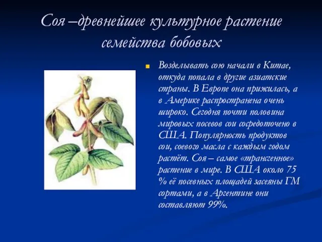 Соя –древнейшее культурное растение семейства бобовых Возделывать сою начали в