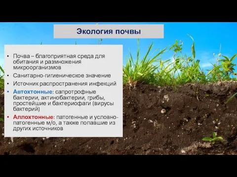 Экология почвы Почва – благоприятная среда для обитания и размножения микроорганизмов Санитарно-гигиеническое значение