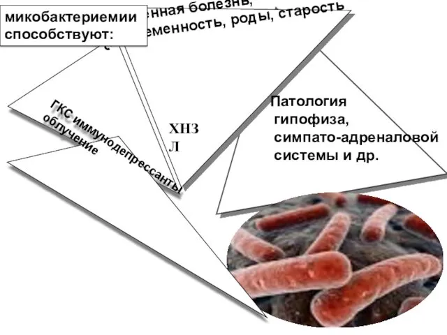 стресс Язвенная болезнь, беременность, роды, старость Патология гипофиза, симпато-адреналовой системы