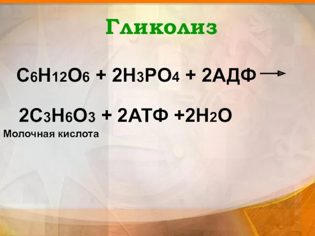 Гликолиз С6Н12О6 + 2Н3РО4 + 2АДФ 2С3Н6О3 + 2АТФ +2Н2О Молочная кислота