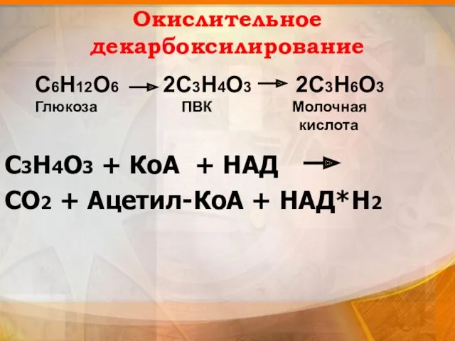Окислительное декарбоксилирование С3Н4О3 + КоА + НАД СО2 + Ацетил-КоА