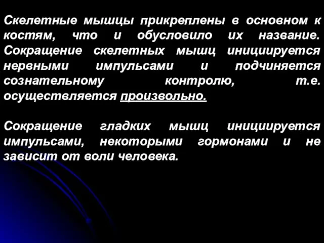 Скелетные мышцы прикреплены в основном к костям, что и обусловило