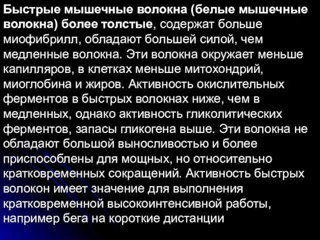 Быстрые мышечные волокна (белые мышечные волокна) более толстые, содержат больше