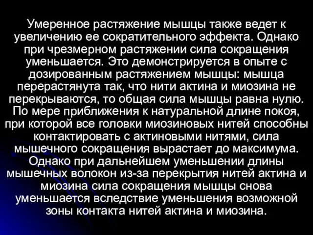 Умеренное растяжение мышцы также ведет к увеличению ее сократительного эффекта.