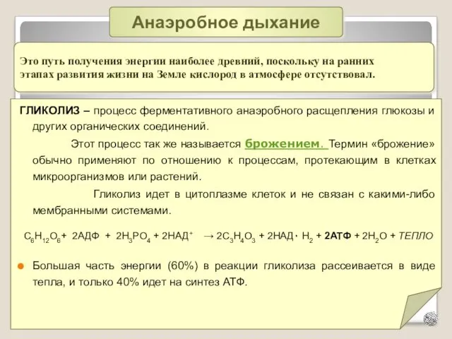 Это путь получения энергии наиболее древний, поскольку на ранних этапах