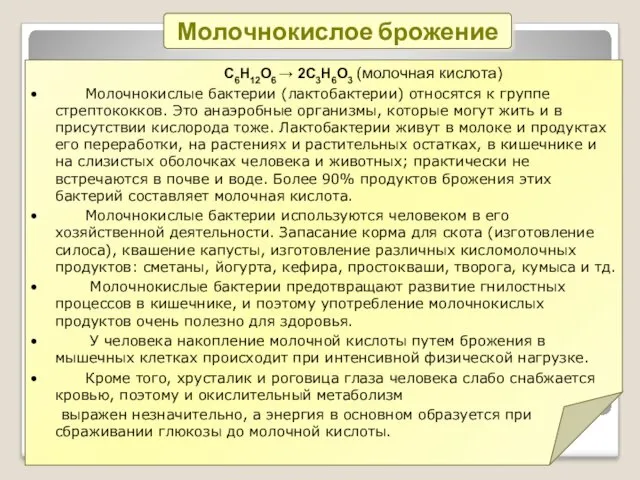 Молочнокислое брожение С6Н12О6 → 2С3Н6О3 (молочная кислота) Молочнокислые бактерии (лактобактерии)