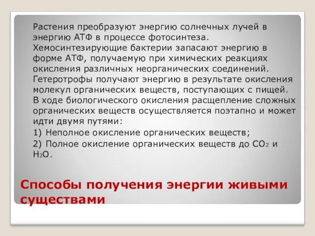 Способы получения энергии живыми существами Растения преобразуют энергию солнечных лучей