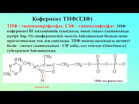 Кофермент ТПФ(ТДФ) ТПФ - тиаминпирофосфат, ТДФ - тиаминдифосфат. ТПФ коферменті В1 витаминінің туындысы,