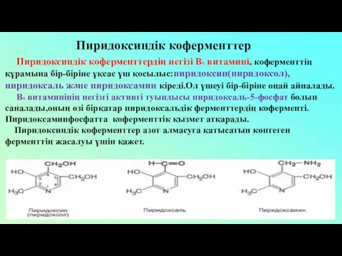 Пиридоксиндік коферменттер Пиридоксиндік коферменттердің негізі В6 витамині, коферменттің құрамына бір-біріне ұқсас үш қосылыс:пиридоксин(пиридоксол),пиридоксаль