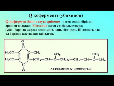 Q коферменті (убихинон) Q коферментінің атауы quinone - деген сөздің бірінші әрпінен шыққан.