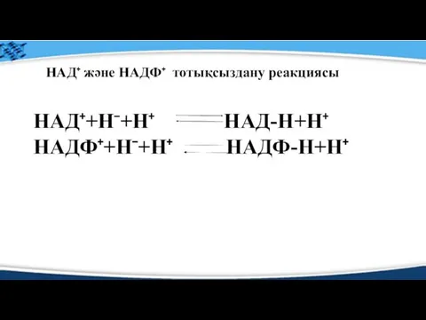 НАД⁺ және НАДФ⁺ тотықсыздану реакциясы НАД⁺+Н⁻+Н⁺ НАД-Н+Н⁺ НАДФ⁺+Н⁻+Н⁺ НАДФ-Н+Н⁺