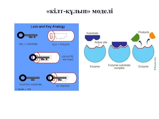 «кілт-құлып» моделі