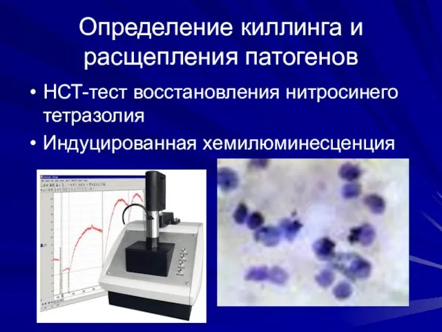 Определение киллинга и расщепления патогенов НСТ-тест восстановления нитросинего тетразолия Индуцированная хемилюминесценция