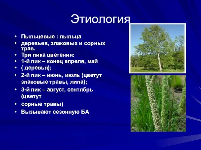 Этиология Пыльцевые : пыльца деревьев, злаковых и сорных трав. Три