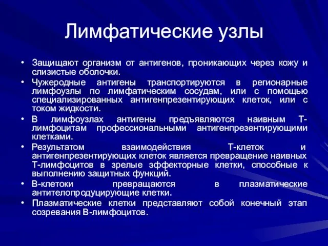 Лимфатические узлы Защищают организм от антигенов, проникающих через кожу и