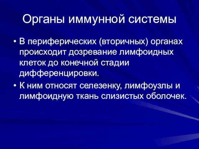 Органы иммунной системы В периферических (вторичных) органах происходит дозревание лимфоидных