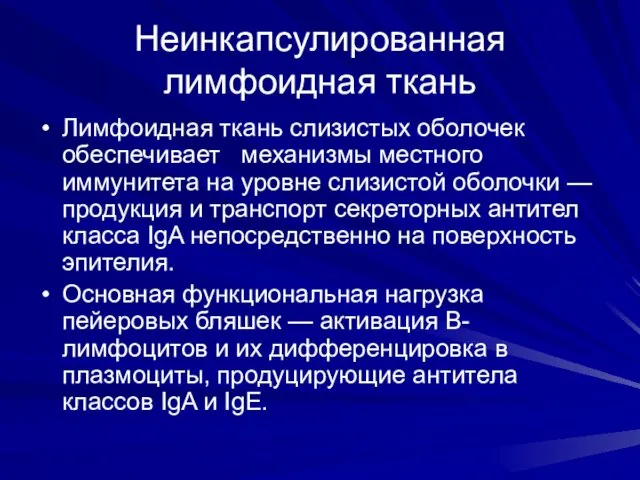 Неинкапсулированная лимфоидная ткань Лимфоидная ткань слизистых оболочек обеспечивает механизмы местного