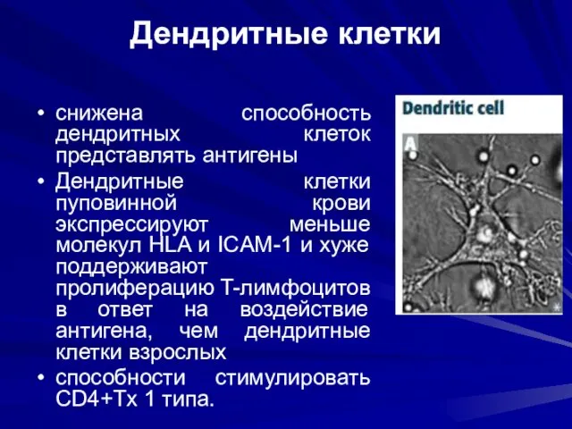 Дендритные клетки снижена способность дендритных клеток представлять антигены Дендритные клетки
