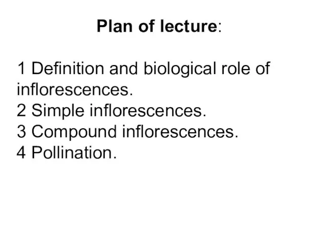 Plan of lecture: 1 Definition and biological role of inflorescences.