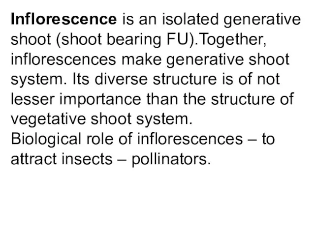 Inflorescence is an isolated generative shoot (shoot bearing FU).Together, inflorescences