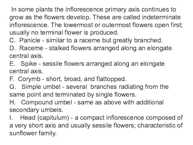 In some plants the inflorescence primary axis continues to grow