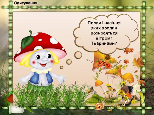 Опитування За допомогою чого розмножуються квіткові рослини? Де знаходиться насіння?