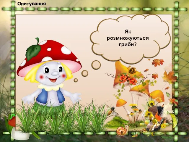 Опитування З яких частин складаються гриби? Поміркуй, чому кажуть, що