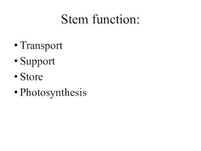 Stem function: Transport Support Store Photosynthesis