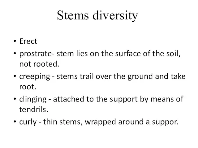 Stems diversity Erect prostrate- stem lies on the surface of