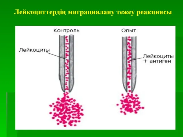 Лейкоциттердің миграциялану тежеу реакциясы