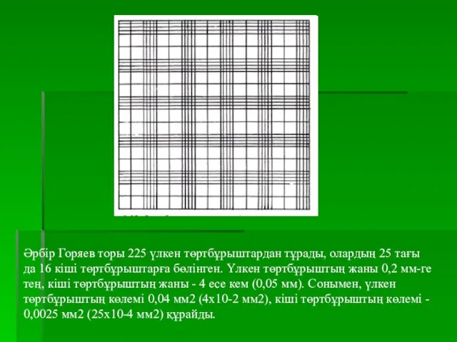 Әрбір Горяев торы 225 үлкен төртбұрыштардан тұрады, олардың 25 тағы