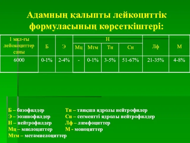 Адамның қалыпты лейкоциттік формуласының көрсеткіштері: Б – базофилдер Тн –