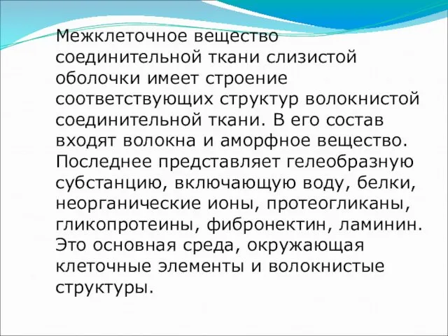 Межклеточное вещество соединительной ткани слизистой оболочки имеет строение соответствующих структур