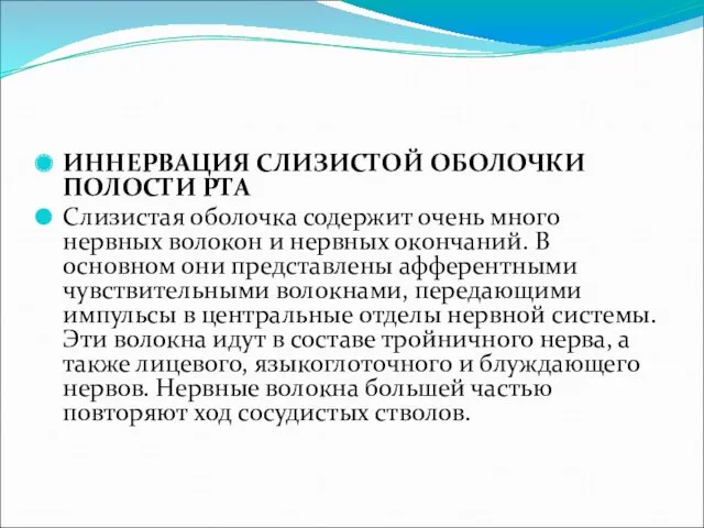 ИННЕРВАЦИЯ СЛИЗИСТОЙ ОБОЛОЧКИ ПОЛОСТИ РТА Слизистая оболочка содержит очень много