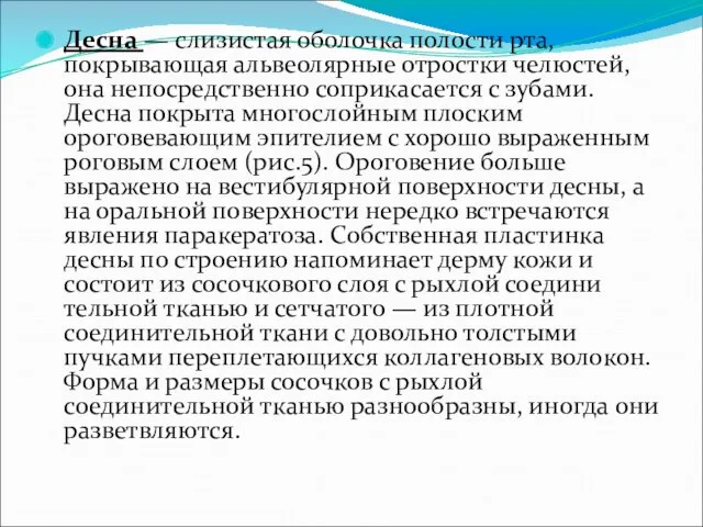 Десна — слизистая оболочка полости рта, покрывающая альвеолярные отростки челюстей,