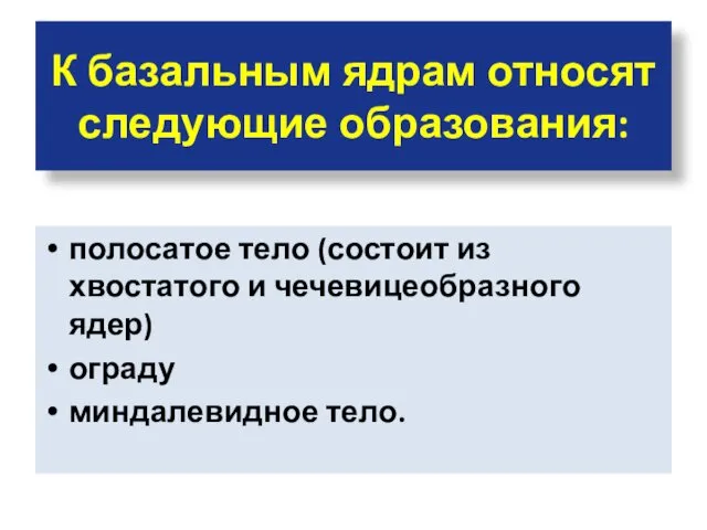 К базальным ядрам относят следующие образования: полосатое тело (состоит из