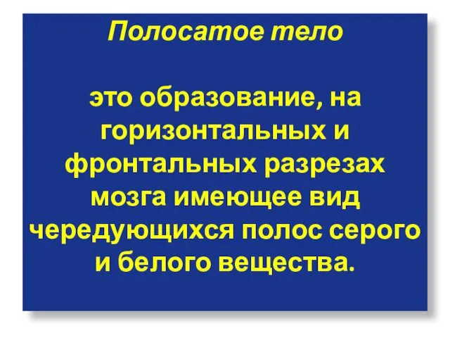 Полосатое тело это образование, на горизонтальных и фронтальных разрезах мозга