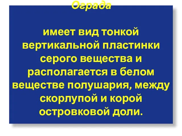 Ограда имеет вид тонкой вертикальной пластинки серого вещества и располагается