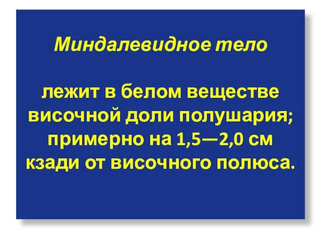 Миндалевидное тело лежит в белом веществе височной доли полушария; примерно