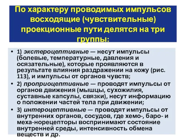 По характеру проводимых импульсов восходящие (чувствительные) проекционные пути делятся на