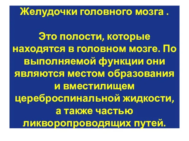 Желудочки головного мозга . Это полости, которые находятся в головном