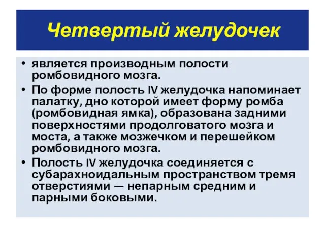 Четвертый желудочек является производным полости ромбовидного мозга. По форме полость