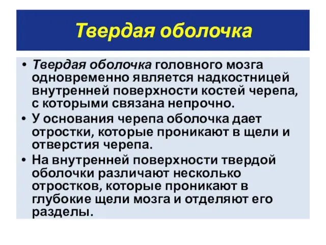 Твердая оболочка Твердая оболочка головного мозга одновременно является надкостницей внутренней