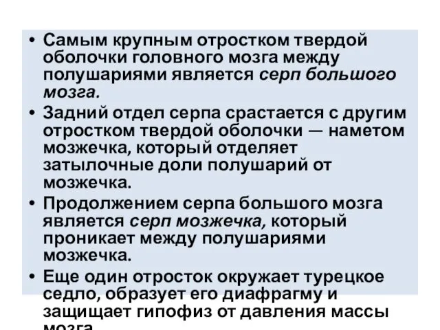 Самым крупным отростком твердой оболочки головного мозга между полушариями является