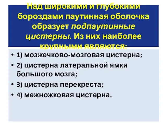 Над широкими и глубокими бороздами паутинная оболочка образует подпаутинные цистерны.