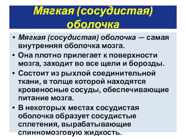 Мягкая (сосудистая) оболочка Мягкая (сосудистая) оболочка — самая внутренняя оболочка