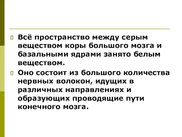 Всё пространство между серым веществом коры большого мозга и базальными