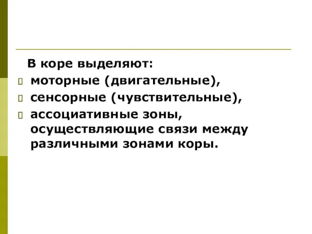 В коре выделяют: моторные (двигательные), сенсорные (чувствительные), ассоциативные зоны, осуществляющие связи между различными зонами коры.